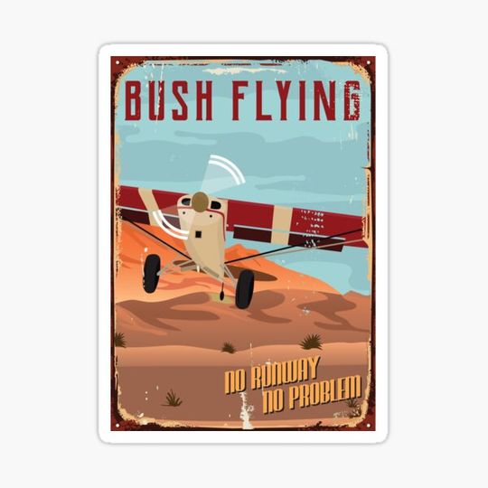 Discover Bush Flying - No Runway No Problem