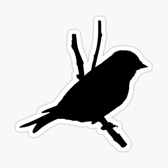 Discover Bird on a branch Silhouette