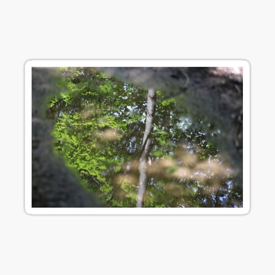 Discover Water Reflection