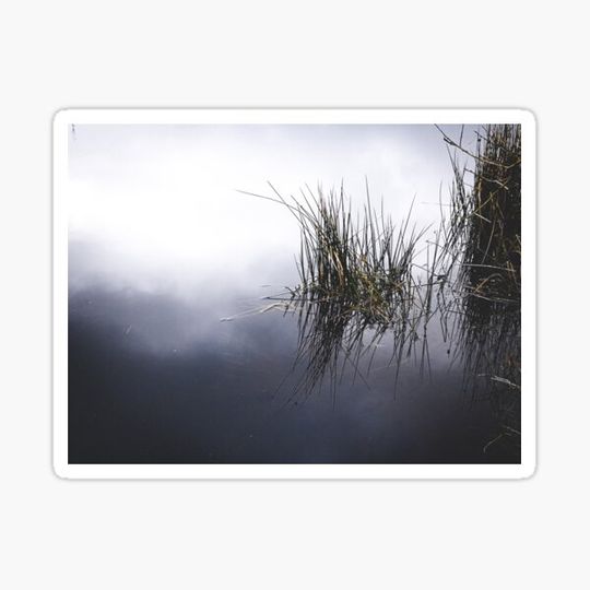 Discover Reflections