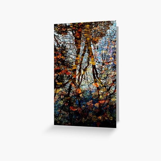 Discover tree reflection