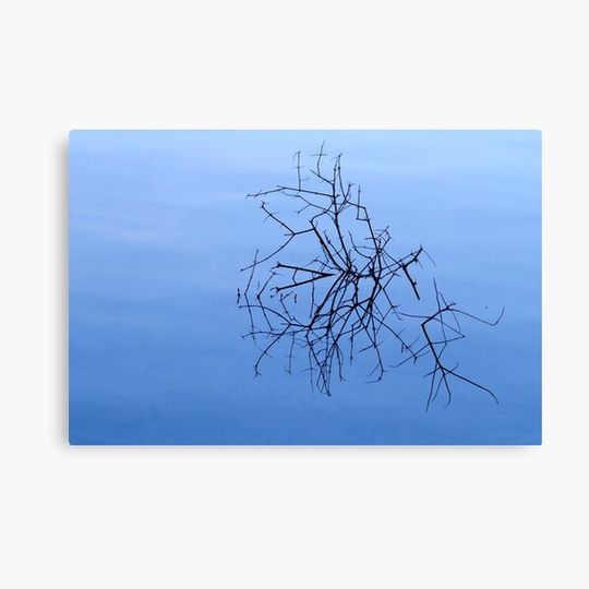 Discover Fragile