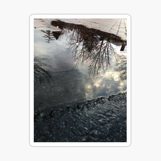 Discover Upsidedown Sky on the Pavement