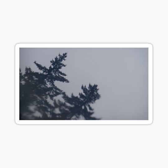 Discover Reach For the Sky