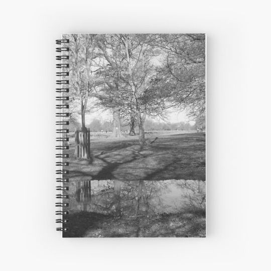 Discover Reflections in a puddle