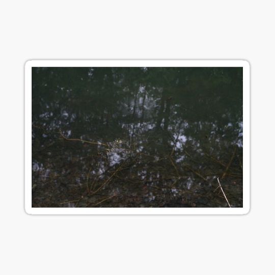 Discover Dark reflection and structures in a ditch.