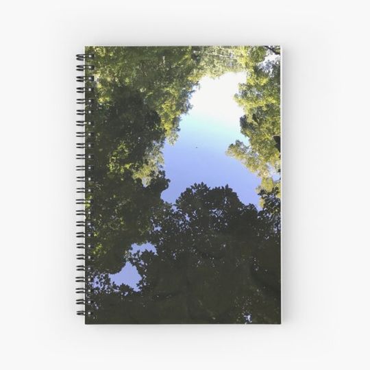 Discover Trees reflecting in water