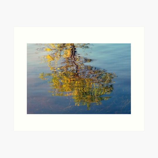 Discover Autumn Reflection