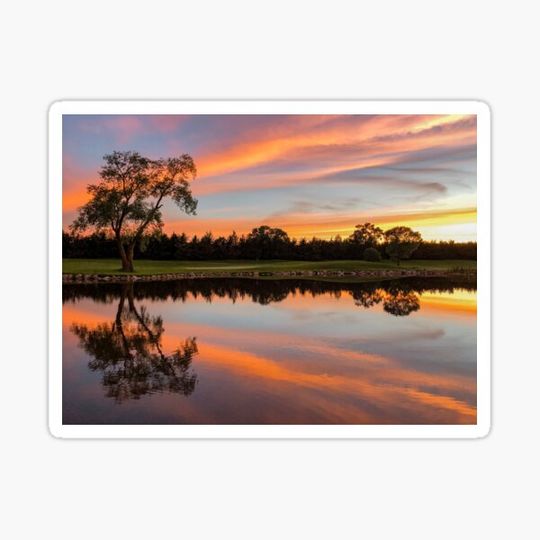 Discover The Last Tee Time