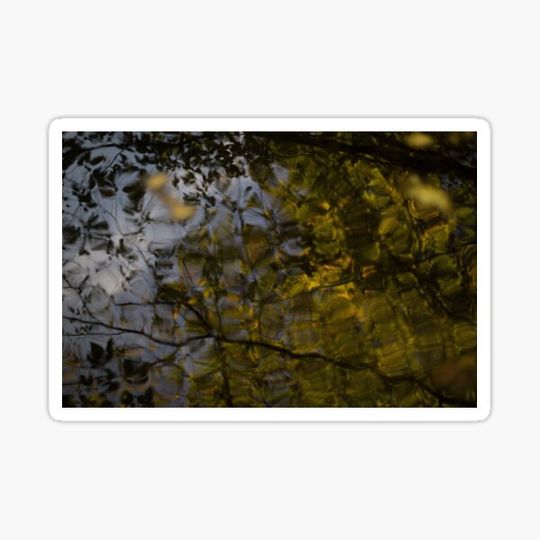 Discover Landscape photography Reflection