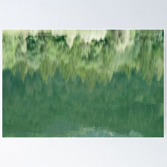 Discover Flipped Forest