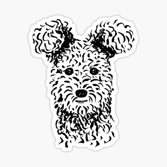 Discover Pumi (Black and White) – New Artwork Placement