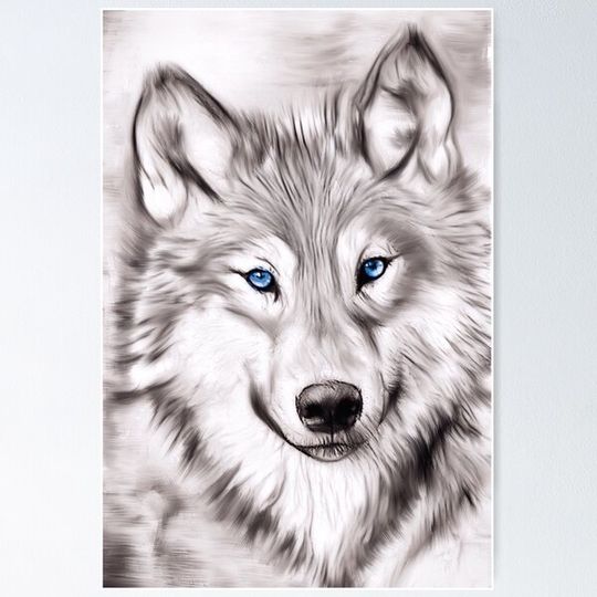 Discover The Wolf with blue eyes