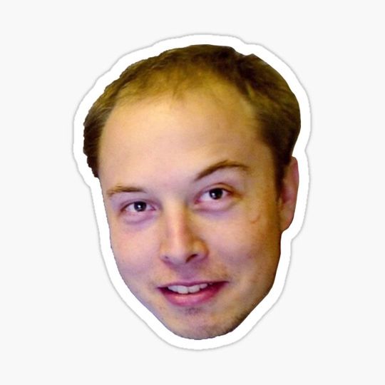 Discover Elon Musk Bald Meme