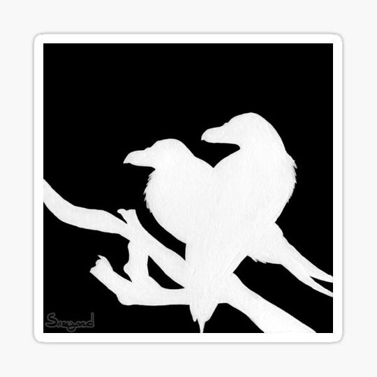 Discover Ravens