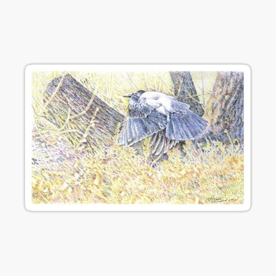 Discover Flying (crow)
