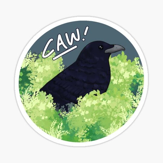 Discover CAW! crow