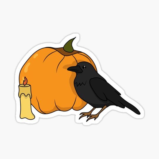 Discover Raven with pumpkin