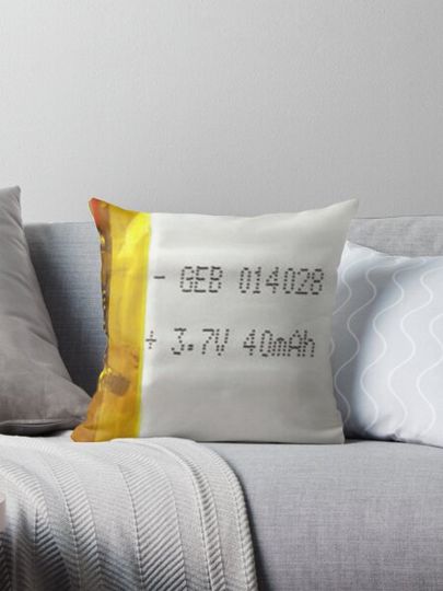 Discover Forbidden Li-on Pillow