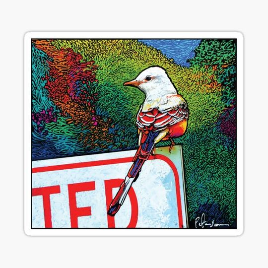 Discover Ted, the Bird