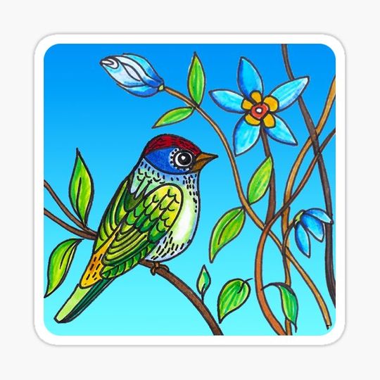 Discover Blue Bird