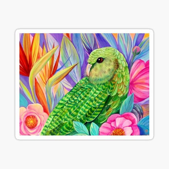 Discover Kakapo
