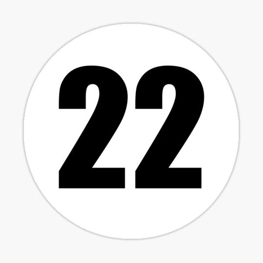 Discover Racing number 22