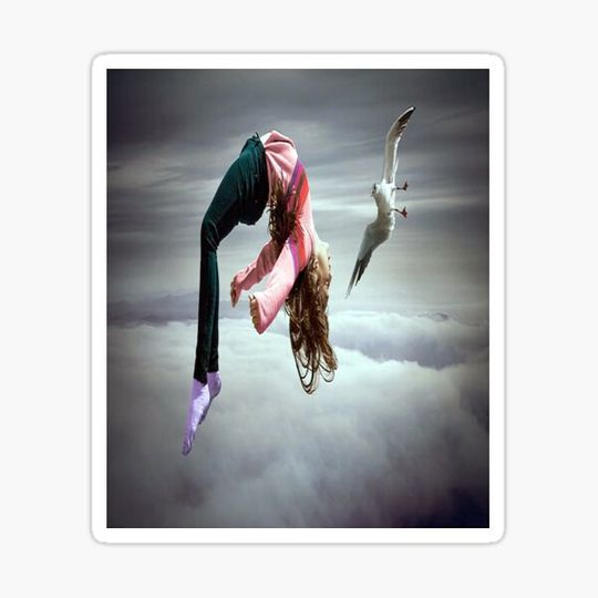 Discover Photoshop Art: little Girl and Seagull perform mid-air flip