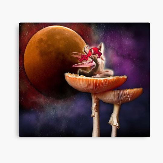 Discover Magic Dream