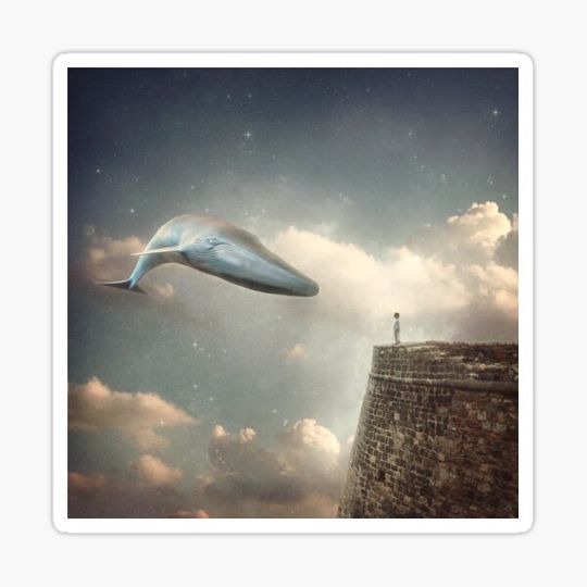 Discover Dream sequence