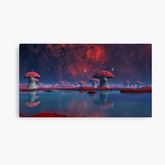 Discover Fungi Revisited