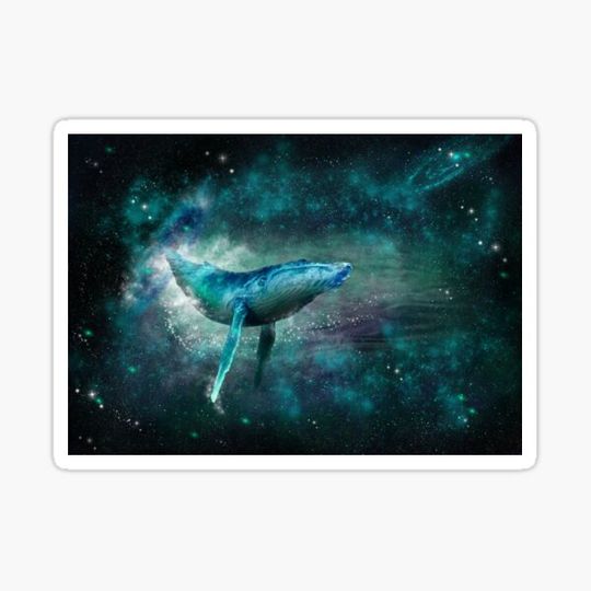 Discover Space whale
