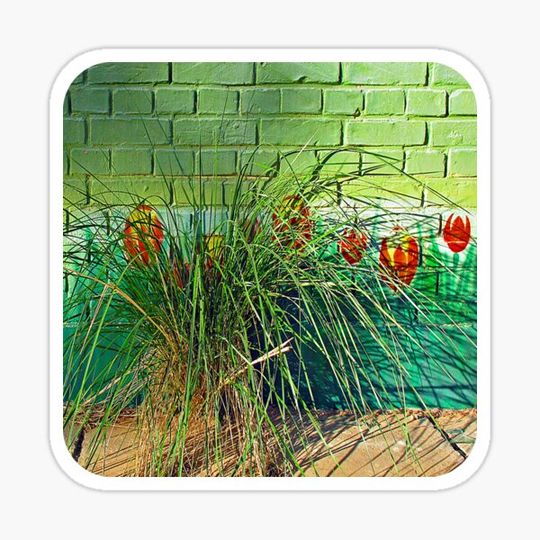 Discover Wall Tulips