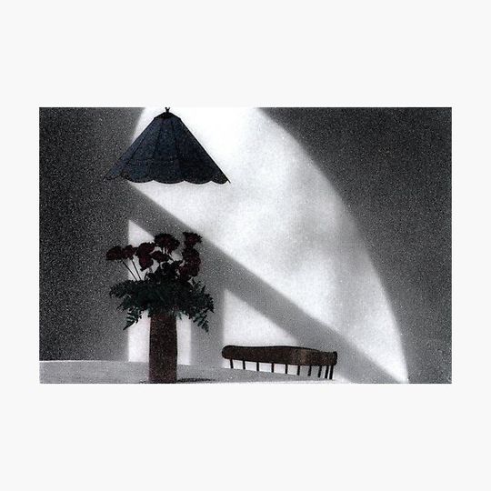 Discover Morning Light