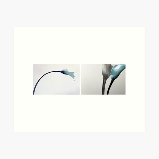 Discover calla
