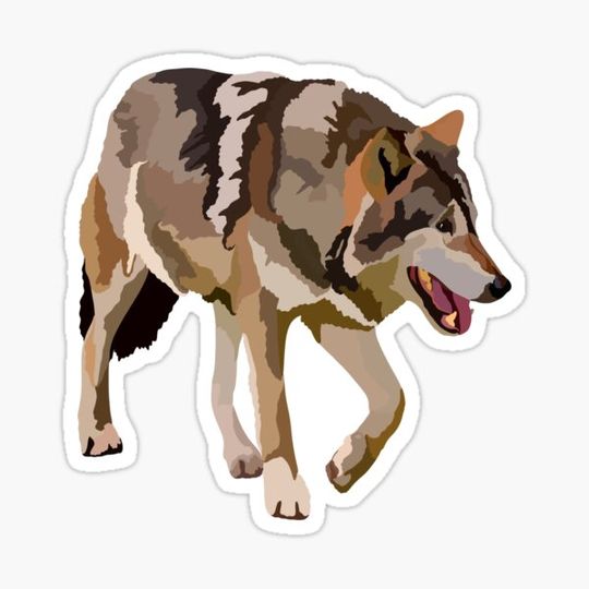 Discover W is for Wolf