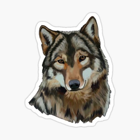 Discover Wolf