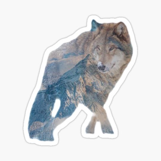 Discover Wolf