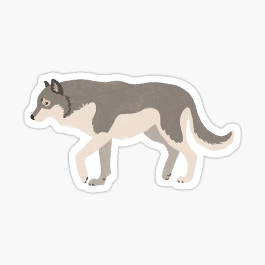 Wolf