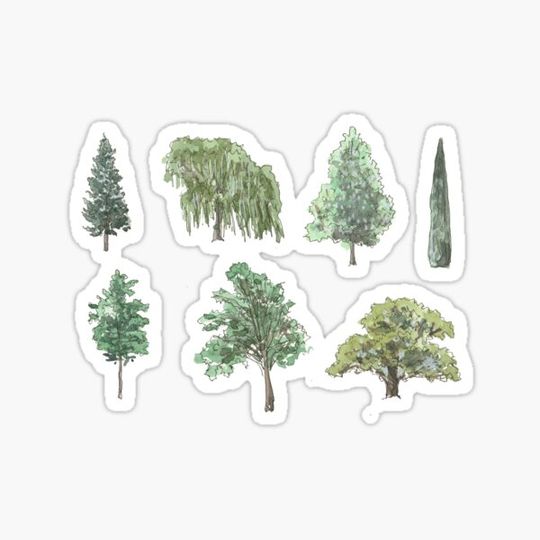 Discover Variety of trees