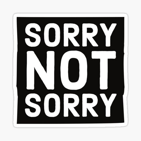 Discover Funny Rude Bumper Stickers - Sorry Not Sorry