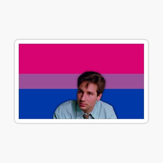 Discover Mulder Bi Pride Flag