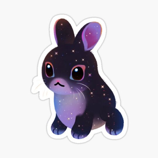 Discover The year of black rabbit