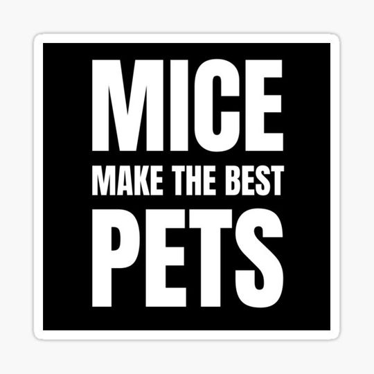Discover Mice make the best pets