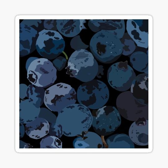 Discover Blueberry Basket