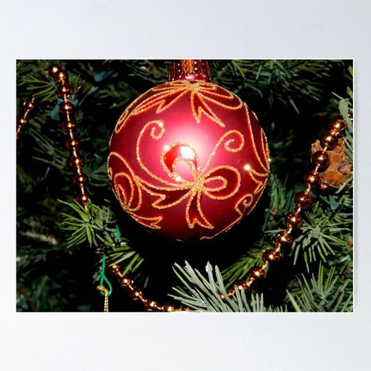 Discover Ornament   ^