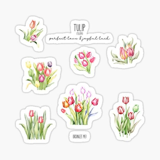 Discover Tulip - Perfect Love and Joyful Luck