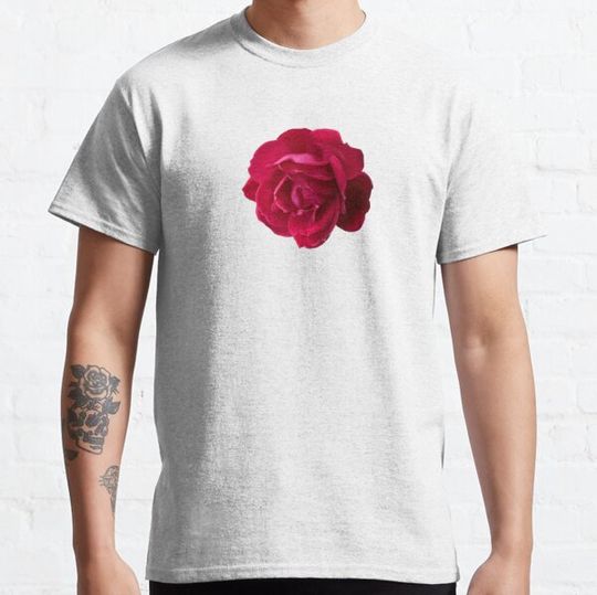 Discover October Rose