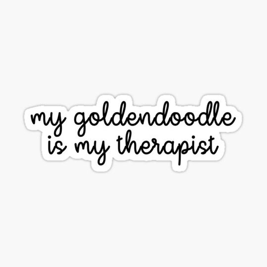 Discover My Goldendoodle is My Therapist - Golden Doodle Sticker