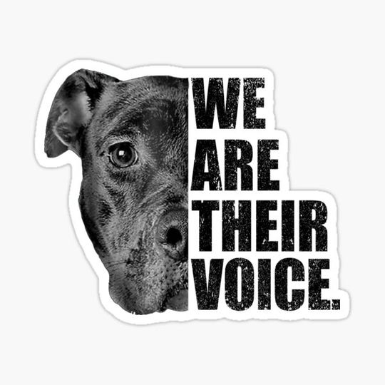 Discover Pitbull We are their voice